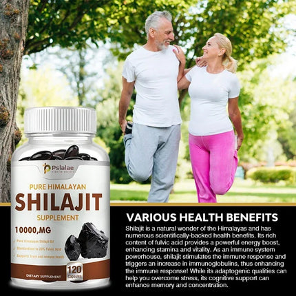 Shilajit Supplements